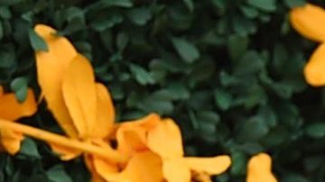 Joan Smalls attends the 12th Annual Veuve Clicquot Polo Classic at Liberty State Park on June 01, 2019 in Jersey City, New Jersey. Photo by Jamie McCarthy/Getty Images