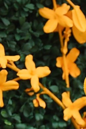 Joan Smalls attends the 12th Annual Veuve Clicquot Polo Classic at Liberty State Park on June 01, 2019 in Jersey City, New Jersey. Photo by Jamie McCarthy/Getty Images