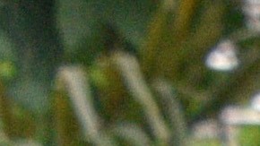 Colombian Amazon natives attend the inauguration of the Summit of Presidents for the Amazon on September 06, 2019 in Leticia, Colombia. Photo by Guillermo Legaria/Getty Images