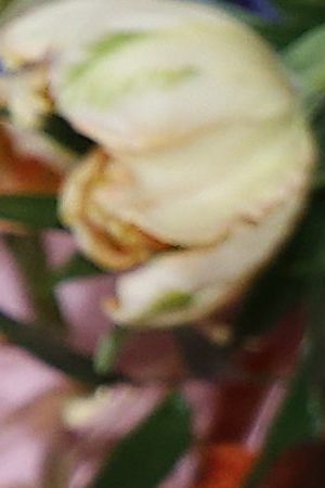 Indya Moore attends "The Politician" New York Premiere at DGA Theater on September 26, 2019 in New York City. Photo by John Lamparski/Getty Images