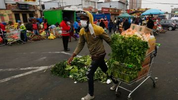 A worker walks while pulling a shopping cart with vegetables at Central Market on May 28, 2020 in Santiago, Chile. Photo by Marcelo Hernandez/Getty Images