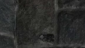 People wait in line to vote in Georgia's Primary Election on June 9, 2020 in Atlanta, Georgia. Photo by Elijah Nouvelage/Getty Images