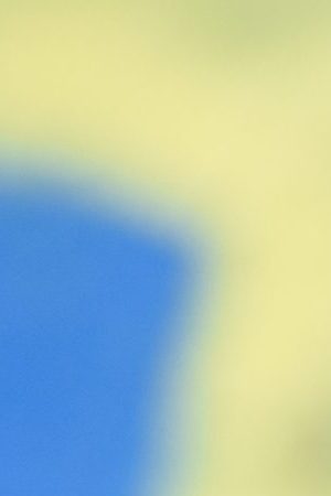 Rep. Alexandria Ocasio-Cortez (D-NY) campaigns on June 23, 2020 in the Bronx borough of New York City. Ocasio-Cortez is running for re-election in the 14th congressional district against Michelle Caruso-Cabrera, a former CNBC anchor. Photo by Stephanie Keith/Getty Images