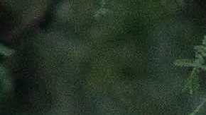 Community members and family wear shirts that read "Nana Ayudame or Nana, help me" in Spanish at a vigil for Carlos Adrián Ingram-Lopez on June 25, 2020 in Tucson, Arizona. Photo by Caitlin O'Hara/Getty Images