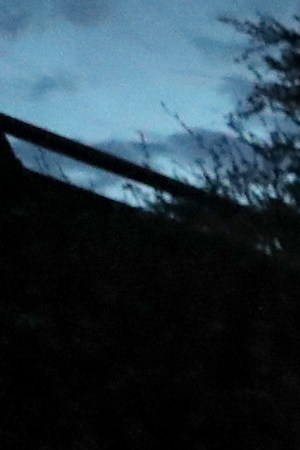 A demonstrator holds an American flag in front of California Highway Patrol officers during a protest sparked by the death of George Floyd while in police custody on May 29, 2020 in Oakland, California. Photo by Justin Sullivan/Getty Images