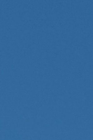 Protesters march in the All Black Lives Matter Solidarity March on June 14, 2020 in Los Angeles, California. Photo by Sarah Morris/Getty Images