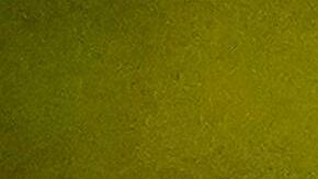 'Love, Victor.' Courtesy of Hulu.