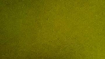 'Love, Victor.' Courtesy of Hulu.