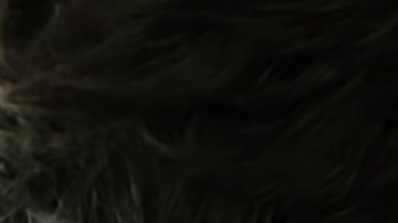 Leonardo Aranguibel's 'La peste del insomnio' screengrab. Courtesy of  La Fundación Gabo.