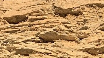 Photo by Manny Jorquera. Courtesy of the photographer