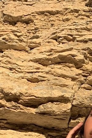 Photo by Manny Jorquera. Courtesy of the photographer