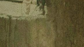 Igor (Moises Arias), Oscar (Ricky Velez) and Scott Carlin (Pete Davidson) in 'The King of Staten Island,' directed by Judd Apatow. Courtesy of Universal Pictures.