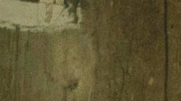 Igor (Moises Arias), Oscar (Ricky Velez) and Scott Carlin (Pete Davidson) in 'The King of Staten Island,' directed by Judd Apatow. Courtesy of Universal Pictures.