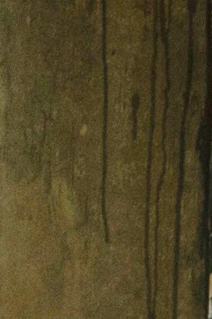 Igor (Moises Arias), Oscar (Ricky Velez) and Scott Carlin (Pete Davidson) in 'The King of Staten Island,' directed by Judd Apatow. Courtesy of Universal Pictures.