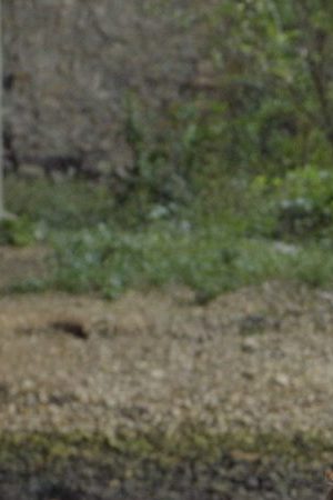 'Sweet Salty Wind.' Courtesy of IDFA.