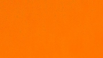 Photo courtesy of the artist