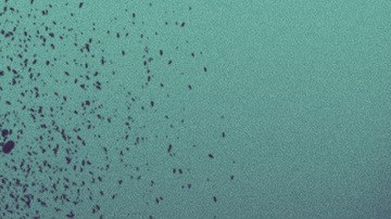 Art by Stephany Torres for Remezcla