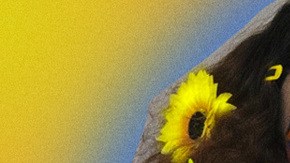 Art by Stephany Torres for Remezcla