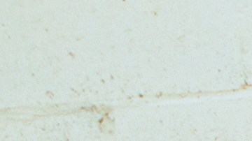 Photo courtesy of the artist