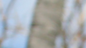 MIAMI, FLORIDA - MAY 30: Activists hold a rally in response to the recent death of George Floyd at the Torch of Friendship in Bayfront Park on May 30, 2020 in Miami, Florida. Miami joins protest after the police killing of George Floyd. Four Minneapolis police officers have been fired after a video taken by a bystander was posted on social media showing Floyd's neck being pinned to the ground by an officer as he repeatedly said, "I can’t breathe". Floyd was later pronounced dead while in police custody after being transported to Hennepin County Medical Center. (Photo by Cliff Hawkins/Getty Images)