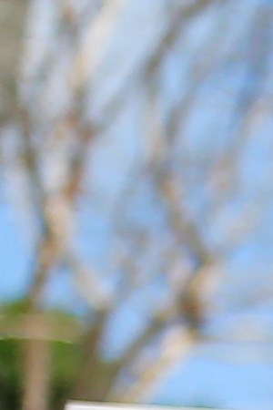 MIAMI, FLORIDA - MAY 30: Activists hold a rally in response to the recent death of George Floyd at the Torch of Friendship in Bayfront Park on May 30, 2020 in Miami, Florida. Miami joins protest after the police killing of George Floyd. Four Minneapolis police officers have been fired after a video taken by a bystander was posted on social media showing Floyd's neck being pinned to the ground by an officer as he repeatedly said, "I can’t breathe". Floyd was later pronounced dead while in police custody after being transported to Hennepin County Medical Center. (Photo by Cliff Hawkins/Getty Images)
