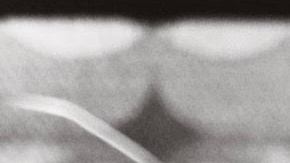 Photo courtesy of the artist