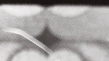 Photo courtesy of the artist