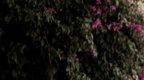 Photo courtesy of artist.