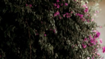 Photo courtesy of artist.