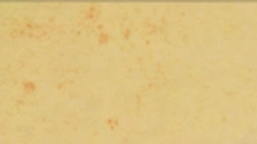 'Unbroken Paradise.' Photo credit: Alcides Urrutia, Pirata y Luna Creative Studio. Courtesy of the filmmaker.