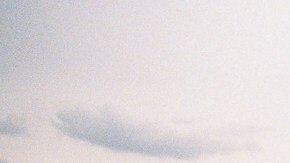 Photo by Daniel Patlan.