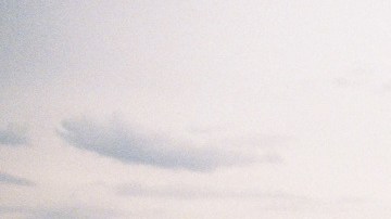 Photo by Daniel Patlan.