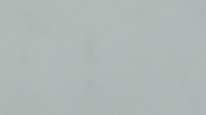 Actor Timothee Chalamet attends the screening of "The King" during day 7 of the 24th Busan International Film Festival at the Busan Cinema Center on October 09, 2019 in Busan, South Korea. Photo by Chung Sung-Jun/Getty Images