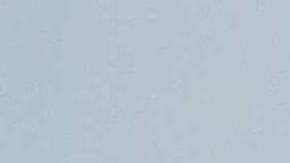 Dogs in front of the Cuban flag in Havana, Cuba. Getty Images