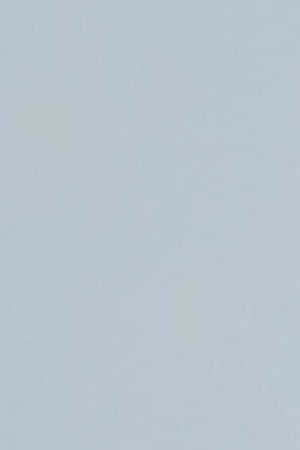 Dogs in front of the Cuban flag in Havana, Cuba. Getty Images