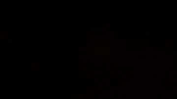 The U.S. Census logo appears on census materials received in the mail with an invitation to fill out census information online on March 19, 2020 in San Anselmo, California. Photo Illustration by Justin Sullivan/Getty Images