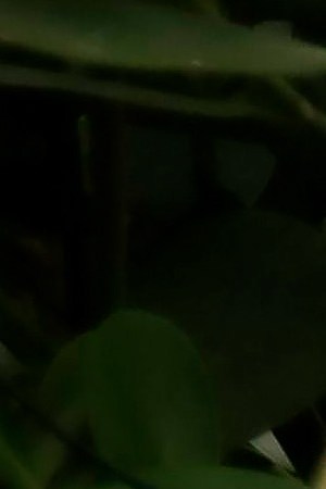 A hostess provides hand sanitizer to patrons entering a restaurant on July 03, 2020 in the South Beach neighborhood of Miami Beach, Florida. Photo by Cliff Hawkins/Getty Images