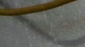 A nurse works in a makeshift tent triage center for patients suspected of being COVID-19 positive outside El Centro Regional Medical Center in hard-hit Imperial County on July 21, 2020 in El Centro, California. Photo by Mario Tama/Getty Images