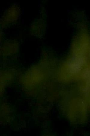 Protestors with activist, actress and filmmaker Armida Lopez as she leads a peaceful caravan and protest for justice for Vanessa Guillen at Staples Center on July 26, 2020 in Los Angeles, California. Photo by Rich Fury/Getty Images
