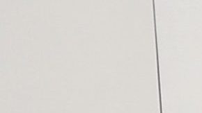 Actress Naya Rivera attends the 2013 American Music Awards at Nokia Theatre L.A. Live on November 24, 2013 in Los Angeles, California.  Photo by Jason Merritt/Getty Images