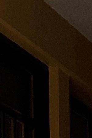 Courtesy of Cosa Buena.