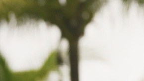 Courtesy of Interscope Records