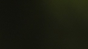 Pluma Barbara Moreno, Indigenous Activist, stated that let even though the island has been violently colonized, the spirit of the people has not. Photo by  Eli Jacobs-Fantauzzi for Remezcla