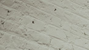 Photo courtesy of the artist.