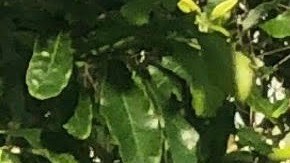 Photo courtesy of artist.