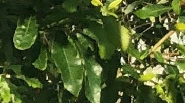 Photo courtesy of artist.