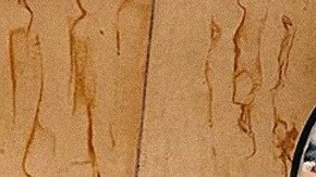 Instagram: @mediapersona