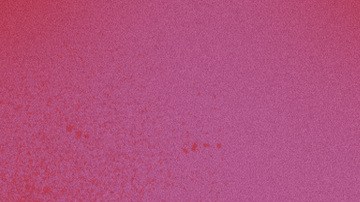 Art by Stephany Torres for Remezcla.