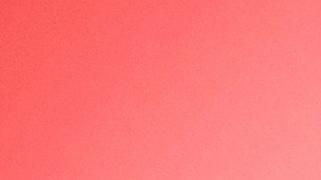 Photo by FOX Image Collection via Getty Images