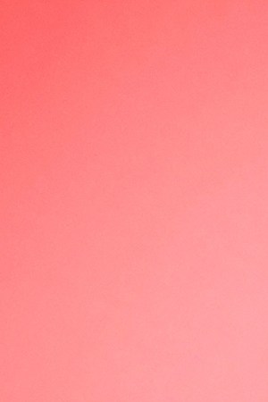 Photo by FOX Image Collection via Getty Images